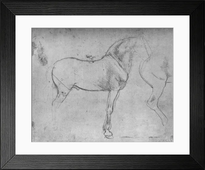 Framed Print : A Horse in Profile to the Right and its Hind-Quarters, c1480 (1945). Artist: Leonardo da Vinci Framed Print : A Horse in Profile to the Right and its Hind-Quarters, c1480 (1945). Artist: Leonardo da Vinci