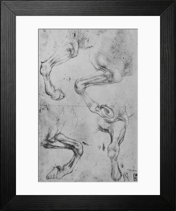 Framed Print : Four Studies of Horses Legs, c1480 (1945). Artist: Leonardo da Vinci Framed Print : Four Studies of Horses Legs, c1480 (1945). Artist: Leonardo da Vinci