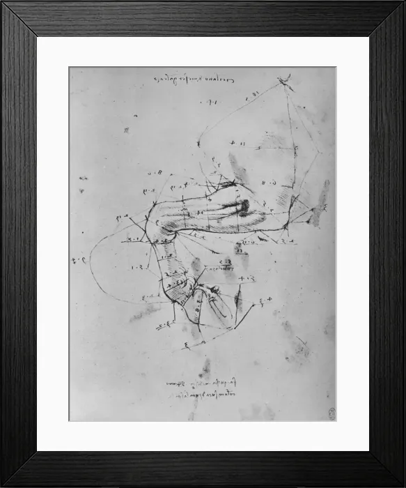 Framed Print : Measured Drawing of the Near Fore-Leg of a Horse, c1480 (1945). Artist: Leonardo da Vinci Framed Print : Measured Drawing of the Near Fore-Leg of a Horse, c1480 (1945). Artist: Leonardo da Vinci