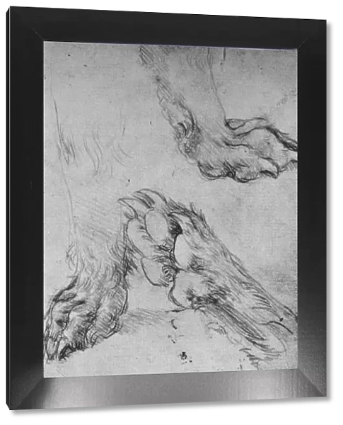 Three Studies of the Paws of a Dog or Wolf, c1480 (1945). Artist: Leonardo da Vinci