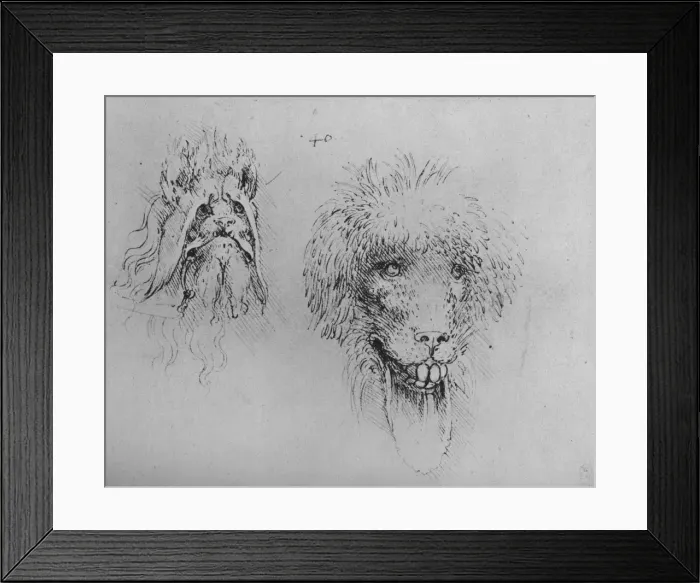 Framed Print : Two Heads of Monsters, c1480 (1945). Artist: Leonardo da Vinci Framed Print : Two Heads of Monsters, c1480 (1945). Artist: Leonardo da Vinci