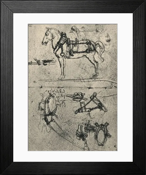 Framed Print : A Harnessed Cart-Horse and Studies of Harness, c1480 (1945). Artist: Leonardo da Vinci Framed Print : A Harnessed Cart-Horse and Studies of Harness, c1480 (1945). Artist: Leonardo da Vinci