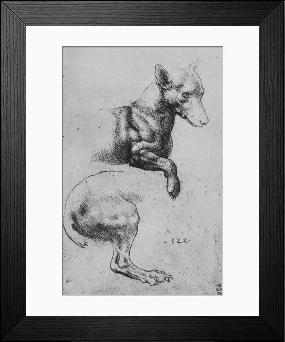 Framed Print : Studies of the Forepart and Hind-Quarters of a Dog, c1480 (1945). Artist: Leonardo da Vinci Framed Print : Studies of the Forepart and Hind-Quarters of a Dog, c1480 (1945). Artist: Leonardo da Vinci