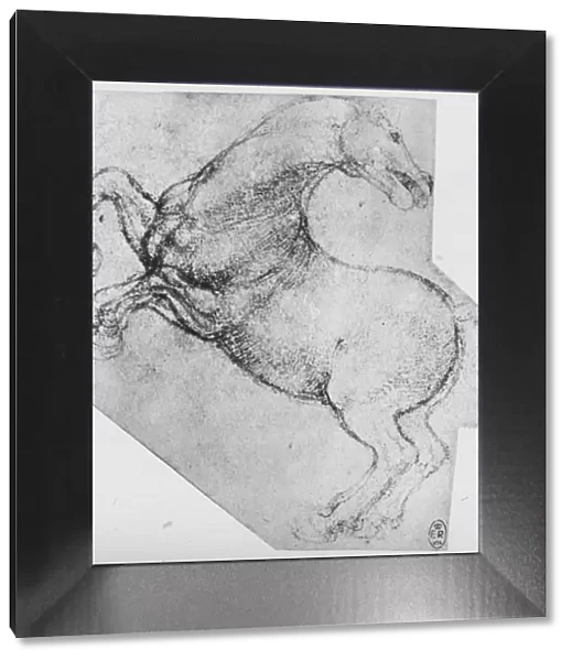Study of a Rearing Horse, c1480 (1945). Artist: Leonardo da Vinci