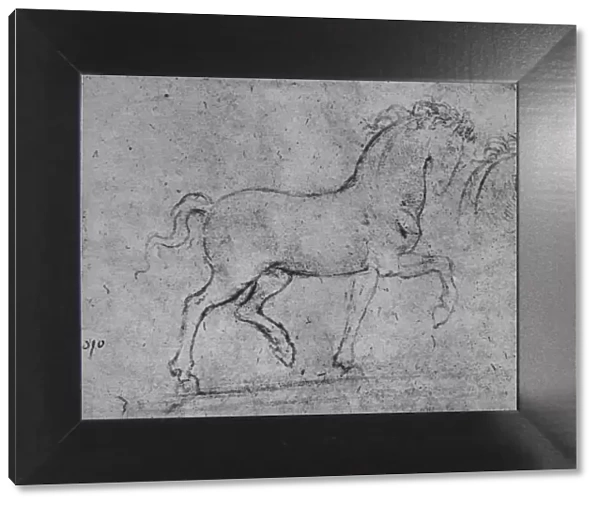 Study of a Horse and of a Horses Head, c1480 (1945). Artist: Leonardo da Vinci