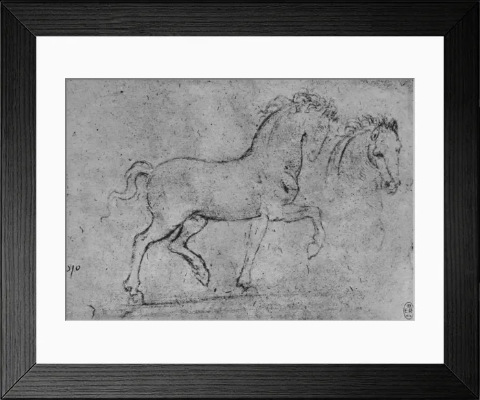 Framed Print : Study of a Horse and of a Horses Head, c1480 (1945). Artist: Leonardo da Vinci Framed Print : Study of a Horse and of a Horses Head, c1480 (1945). Artist: Leonardo da Vinci