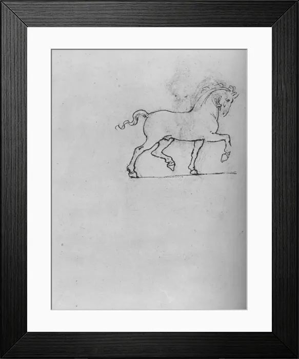 Framed Print : Study of a Horse, c1480 (1945). Artist: Leonardo da Vinci Framed Print : Study of a Horse, c1480 (1945). Artist: Leonardo da Vinci