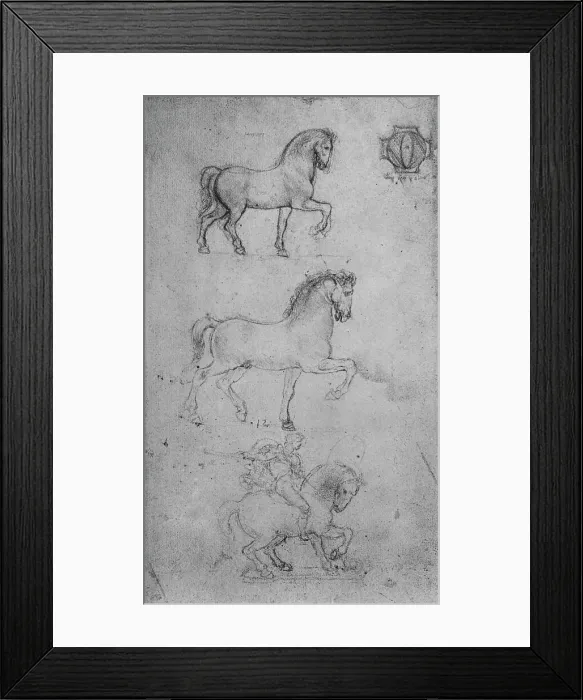 Framed Print : Two Studies of a Horse and one of a Horse and Rider, c1480 (1945). Artist: Leonardo da Vinci