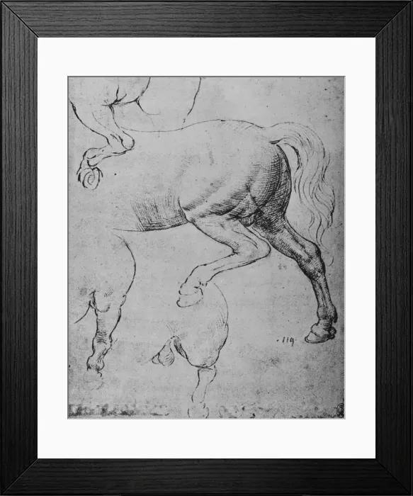 Framed Print : Studies of the Hind-Quarters and of the Hind-Legs of a Horse, c1480 (1945). Artist: Leonardo da Vinci Framed Print : Studies of the Hind-Quarters and of the Hind-Legs of a Horse, c1480 (1945). Artist: Leonardo da Vinci