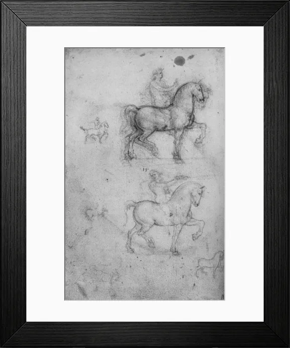 Framed Print : Two Studies of Horses and Riders and Smaller Studies of Horses, c1480 (1945). Artist: Leonardo da Vinci Framed Print : Two Studies of Horses and Riders and Smaller Studies of Horses, c1480 (1945). Artist: Leonardo da Vinci