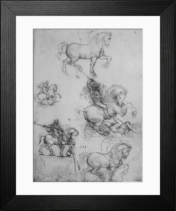 Framed Print : Five Studies of Horses and Riders, c1480 (1945). Artist: Leonardo da Vinci Framed Print : Five Studies of Horses and Riders, c1480 (1945). Artist: Leonardo da Vinci