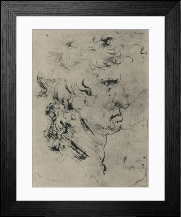 Framed Print : Profile of a Man to the Right, c1480 (1945). Artist: Leonardo da Vinci Framed Print : Profile of a Man to the Right, c1480 (1945). Artist: Leonardo da Vinci