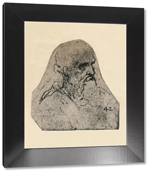 Head of an Old Man Turned to the Right, c1480 (1945). Artist: Leonardo da Vinci