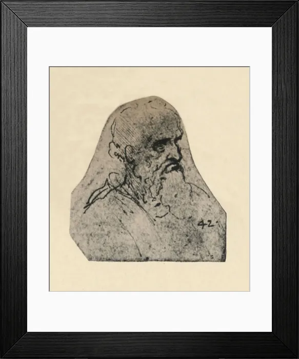 Framed Print : Head of an Old Man Turned to the Right, c1480 (1945). Artist: Leonardo da Vinci Framed Print : Head of an Old Man Turned to the Right, c1480 (1945). Artist: Leonardo da Vinci