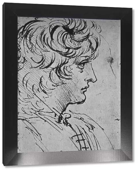 Profile of a Youth to the Right, c1480 (1945). Artist: Leonardo da Vinci