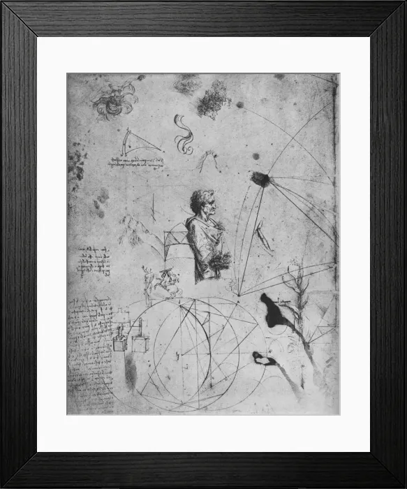 Framed Print : Profile of an Old Man, Plants, Geometrical Figures, Etc. c1480 (1945). Artist: Leonardo da Vinci Framed Print : Profile of an Old Man, Plants, Geometrical Figures, Etc. c1480 (1945). Artist: Leonardo da Vinci