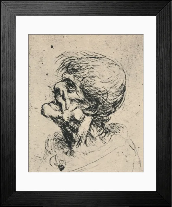 Framed Print : Grotesque Profile to the Left, c1480 (1945). Artist: Leonardo da Vinci Framed Print : Grotesque Profile to the Left, c1480 (1945). Artist: Leonardo da Vinci