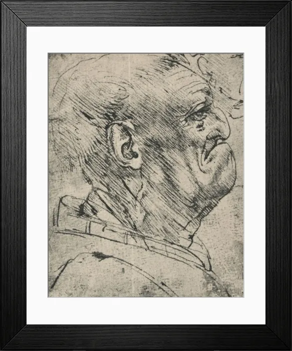 Framed Print : Grotesque Profile of a Man to the Right, c1480 (1945). Artist: Leonardo da Vinci Framed Print : Grotesque Profile of a Man to the Right, c1480 (1945). Artist: Leonardo da Vinci