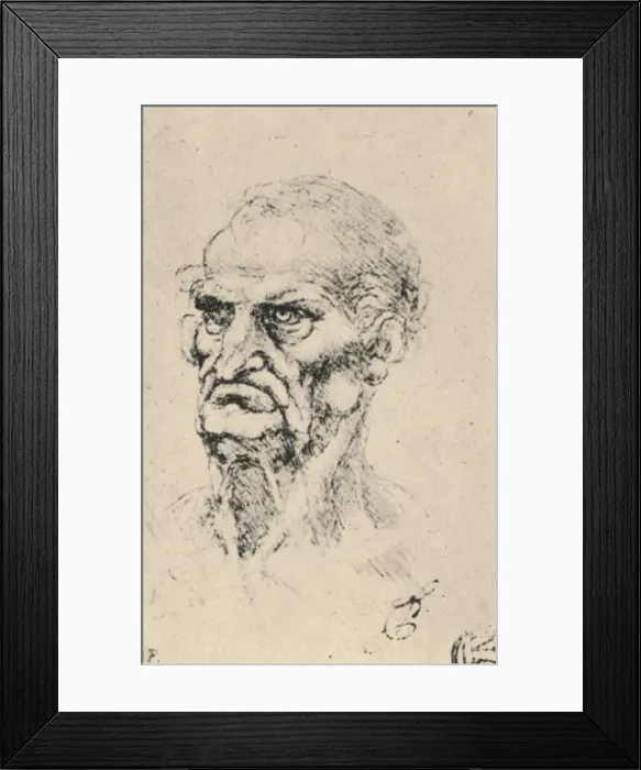 Framed Print : Head of an Old Man Three-Quarters to the Left, c1480 (1945). Artist: Leonardo da Vinci Framed Print : Head of an Old Man Three-Quarters to the Left, c1480 (1945). Artist: Leonardo da Vinci