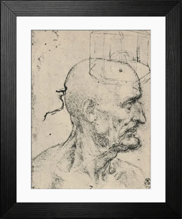 Framed Print : Profile to Right of a Bald Man, c1480 (1945). Artist: Leonardo da Vinci Framed Print : Profile to Right of a Bald Man, c1480 (1945). Artist: Leonardo da Vinci