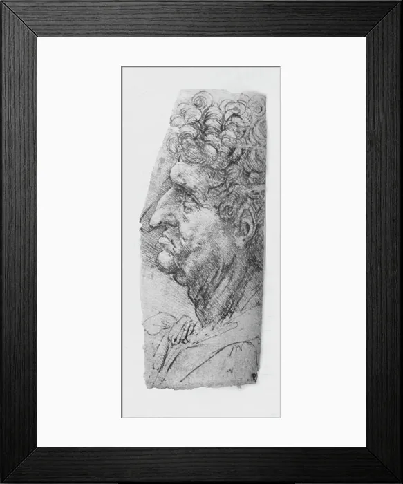 Framed Print : Profile to the Left of an Elderly Man with Curly Hair, c1480 (1945). Artist: Leonardo da Vinci