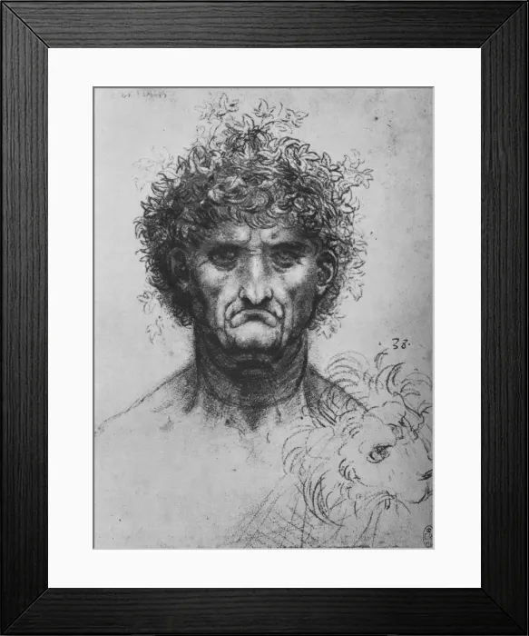 Framed Print : Full Face of an Old Man Wearing a Wreath, c1480 (1945). Artist: Leonardo da Vinci Framed Print : Full Face of an Old Man Wearing a Wreath, c1480 (1945). Artist: Leonardo da Vinci
