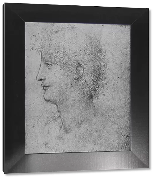 Profile to the Left of a Curly-Headed Youth, c1480 (1945). Artist: Leonardo da Vinci