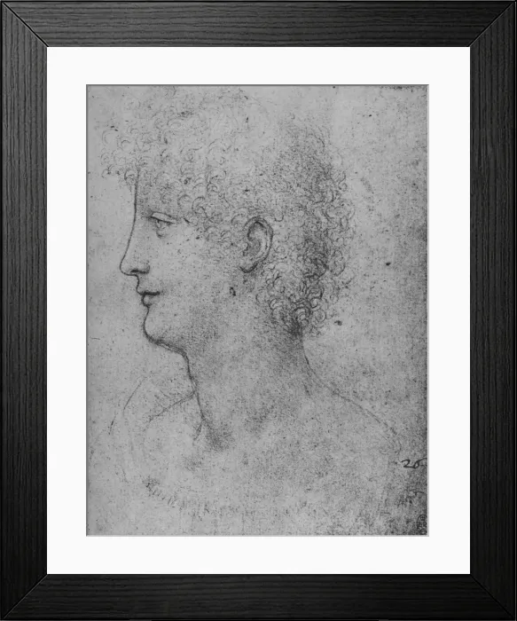 Framed Print : Profile to the Left of a Curly-Headed Youth, c1480 (1945). Artist: Leonardo da Vinci Framed Print : Profile to the Left of a Curly-Headed Youth, c1480 (1945). Artist: Leonardo da Vinci