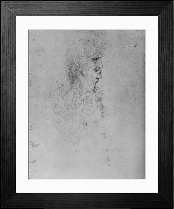 Framed Print : Profile to the Right of an Old Man, c1480 (1945). Artist: Leonardo da Vinci Framed Print : Profile to the Right of an Old Man, c1480 (1945). Artist: Leonardo da Vinci