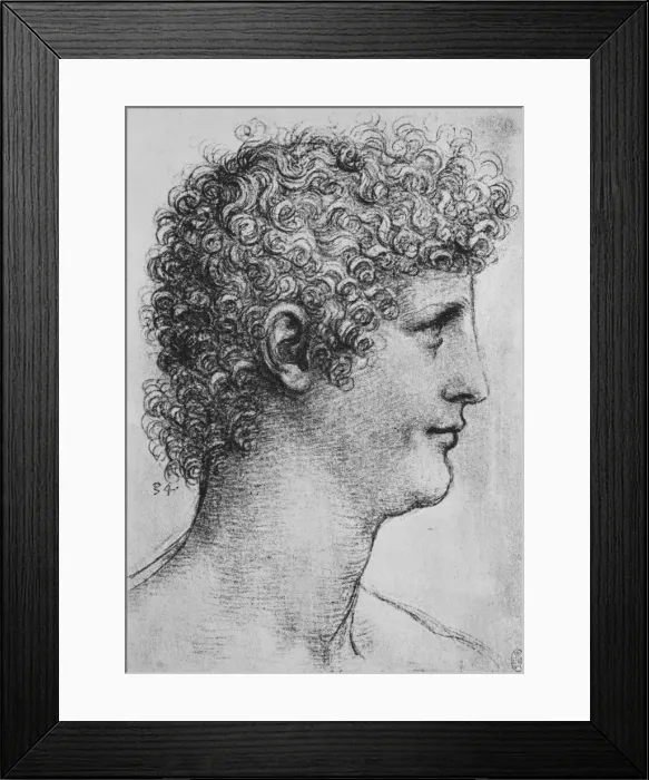 Framed Print : Head of a Youth in Profile to the Right, c1480 (1945). Artist: Leonardo da Vinci Framed Print : Head of a Youth in Profile to the Right, c1480 (1945). Artist: Leonardo da Vinci
