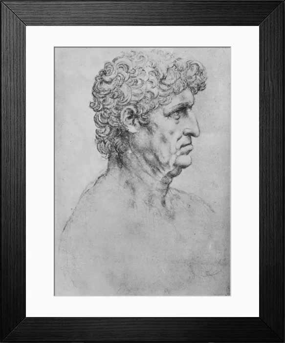 Framed Print : Profile to the Right of an Elderly Man, c1480 (1945). Artist: Leonardo da Vinci Framed Print : Profile to the Right of an Elderly Man, c1480 (1945). Artist: Leonardo da Vinci