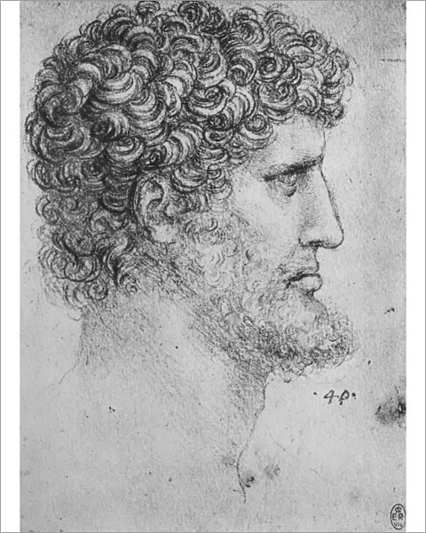 Profile to the Right of an Bearded Man, c1480 (1945). Artist: Leonardo da Vinci