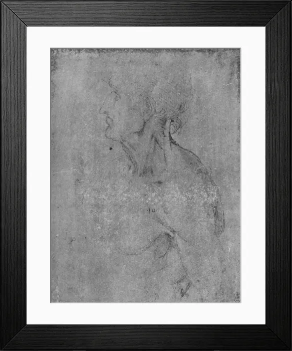 Framed Print : Head and Bust of an Old Man to the Left, c1480 (1945). Artist: Leonardo da Vinci