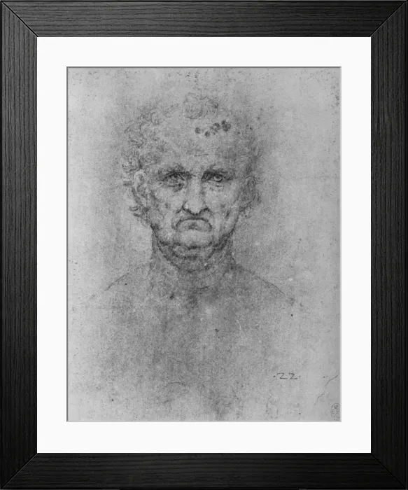 Framed Print : Full Face of an Old Man, c1480 (1945). Artist: Leonardo da Vinci Framed Print : Full Face of an Old Man, c1480 (1945). Artist: Leonardo da Vinci