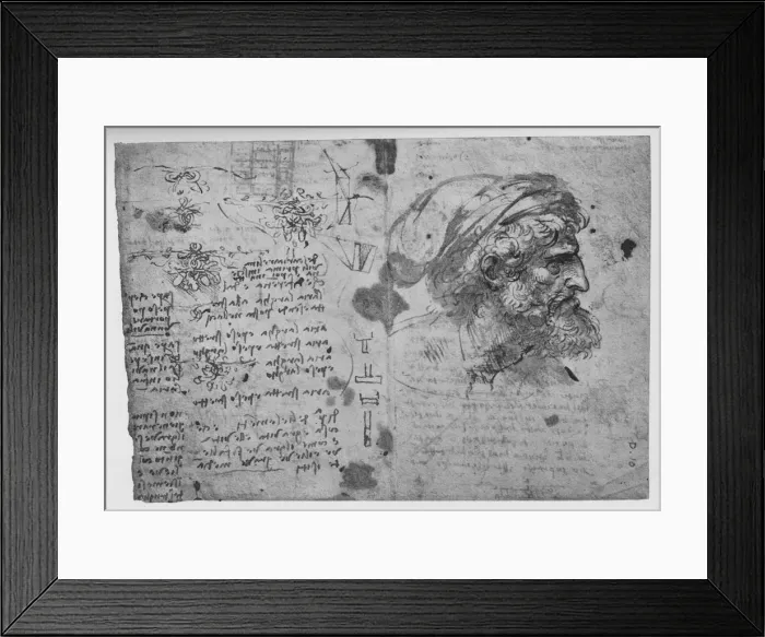 Framed Print : Head and Shoulders of a Bearded Man, c1480 (1945). Artist: Leonardo da Vinci Framed Print : Head and Shoulders of a Bearded Man, c1480 (1945). Artist: Leonardo da Vinci