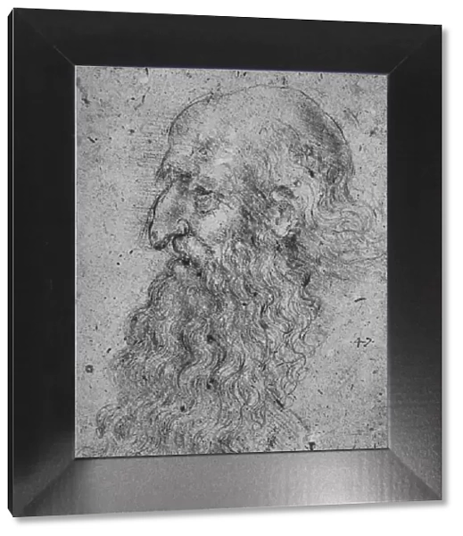 Profile of an Old, Bearded Man to the Left, c1480 (1945). Artist: Leonardo da Vinci