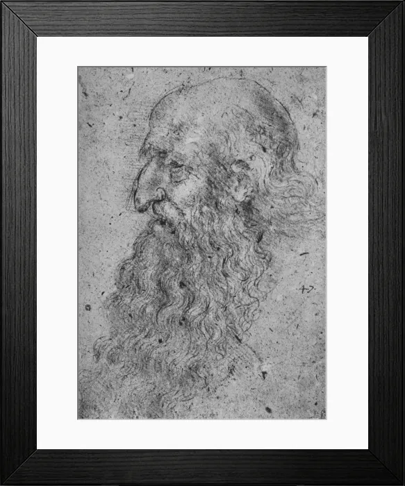 Framed Print : Profile of an Old, Bearded Man to the Left, c1480 (1945). Artist: Leonardo da Vinci Framed Print : Profile of an Old, Bearded Man to the Left, c1480 (1945). Artist: Leonardo da Vinci