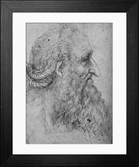 Framed Print : Profile of an Old, Bearded Man to the Right, c1480 (1945). Artist: Leonardo da Vinci