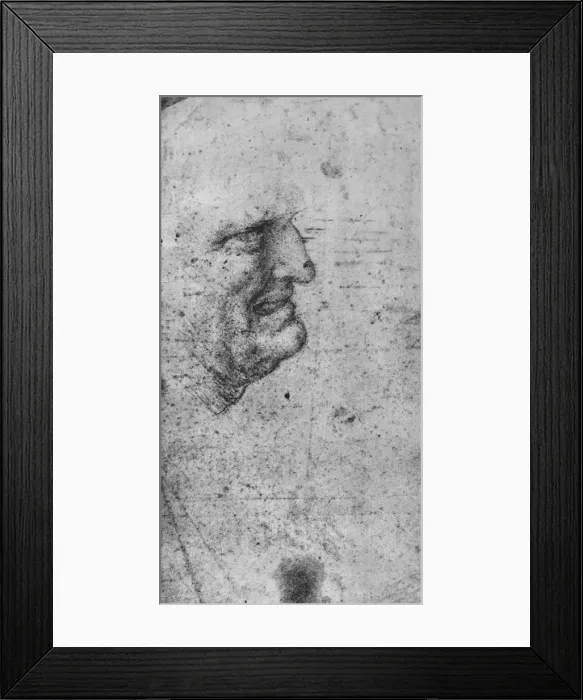 Framed Print : Profile of a Man with Clenched Teeth, c1480 (1945). Artist: Leonardo da Vinci Framed Print : Profile of a Man with Clenched Teeth, c1480 (1945). Artist: Leonardo da Vinci