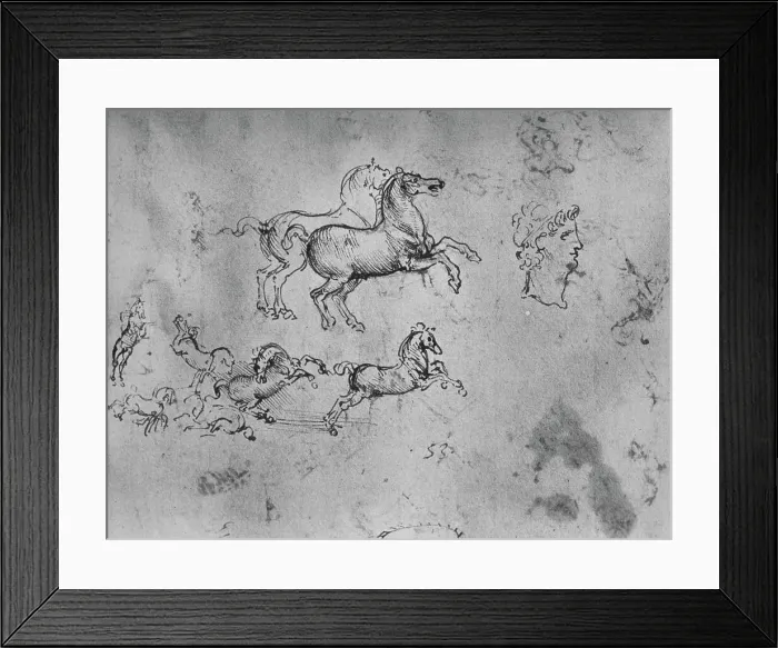Framed Print : Studies of Galloping Horses and a Head, c1480 (1945). Artist: Leonardo da Vinci Framed Print : Studies of Galloping Horses and a Head, c1480 (1945). Artist: Leonardo da Vinci