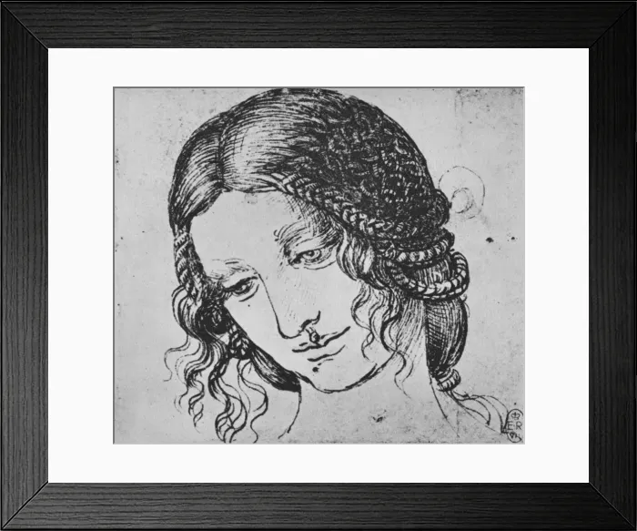 Framed Print : Study of a Womans Braided Hair, c1480 (1945). Artist: Leonardo da Vinci Framed Print : Study of a Womans Braided Hair, c1480 (1945). Artist: Leonardo da Vinci