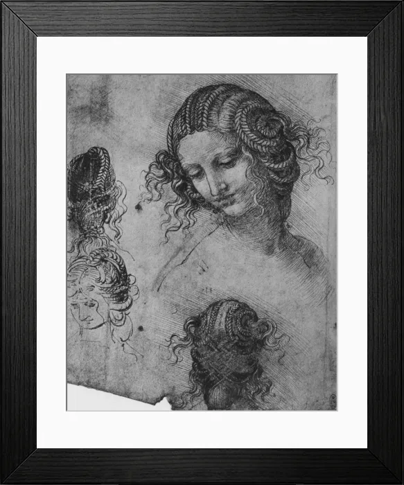 Framed Print : Studies of a Womans Head and Coiffure, c1480 (1945). Artist: Leonardo da Vinci Framed Print : Studies of a Womans Head and Coiffure, c1480 (1945). Artist: Leonardo da Vinci