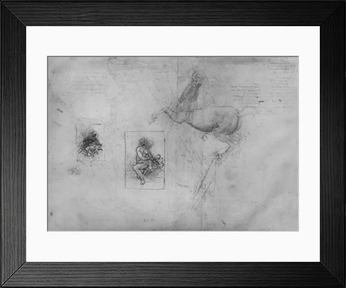 Framed Print : Sketches for a Kneeling Leda and of a Horse, c1480 (1945). Artist: Leonardo da Vinci Framed Print : Sketches for a Kneeling Leda and of a Horse, c1480 (1945). Artist: Leonardo da Vinci