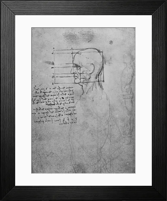 Framed Print : Study of a Mans Nude Torso, the Head Squared for Proportion, c1480 (1945). Artist: Leonardo da Vinci Framed Print : Study of a Mans Nude Torso, the Head Squared for Proportion, c1480 (1945). Artist: Leonardo da Vinci