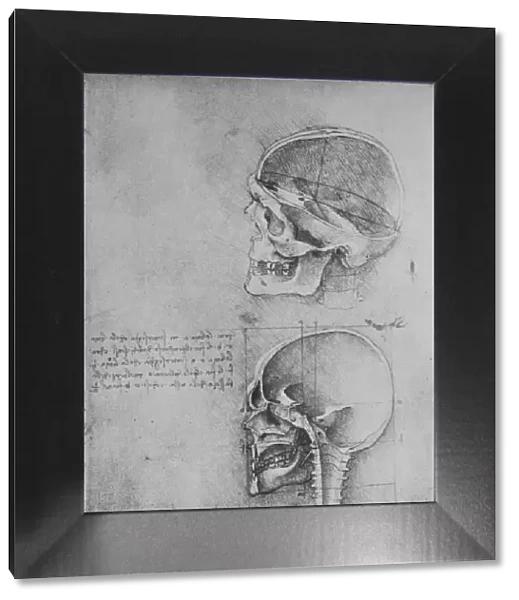 Anatomical Drawings of Two Skulls in Profile to the Left, c1480 (1945). Artist: Leonardo da Vinci