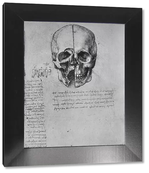 Drawing of Two Halves of a Skull, c1480 (1945). Artist: Leonardo da Vinci