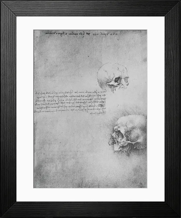 Framed Print : Two Drawings of the Bony Structure of the Head, c1480 (1945). Artist: Leonardo da Vinci Framed Print : Two Drawings of the Bony Structure of the Head, c1480 (1945). Artist: Leonardo da Vinci