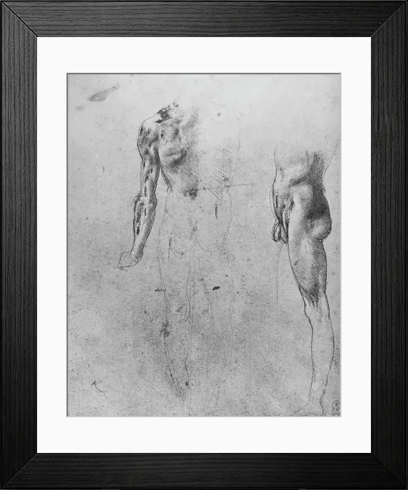 Framed Print : Studies of a Nude Man Seen from the Back and from the Side, c1480 (1945). Artist: Leonardo da Vinci Framed Print : Studies of a Nude Man Seen from the Back and from the Side, c1480 (1945). Artist: Leonardo da Vinci