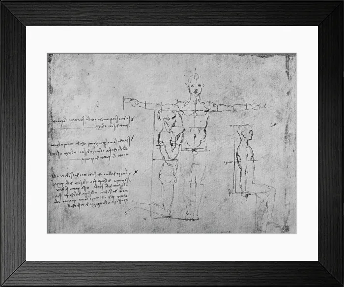 Framed Print : Studies of the Proportions of Three Figures, c1480 (1945). Artist: Leonardo da Vinci Framed Print : Studies of the Proportions of Three Figures, c1480 (1945). Artist: Leonardo da Vinci