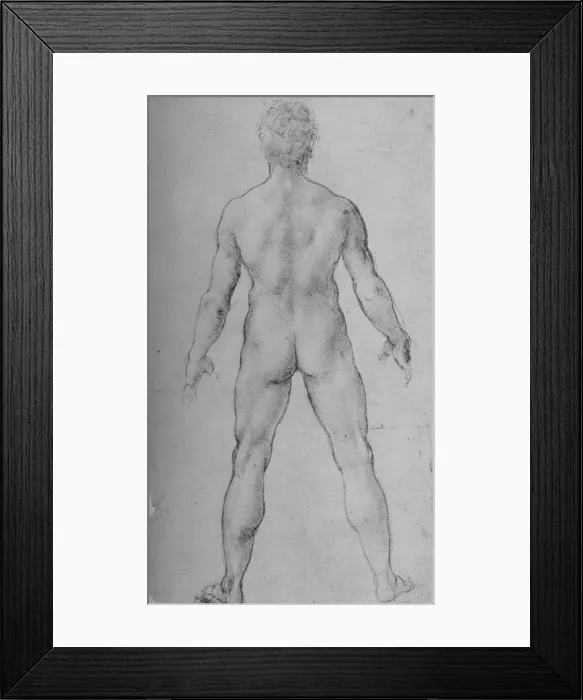 Framed Print : A Nude Man seen from the Back, c1480 (1945). Artist: Leonardo da Vinci Framed Print : A Nude Man seen from the Back, c1480 (1945). Artist: Leonardo da Vinci